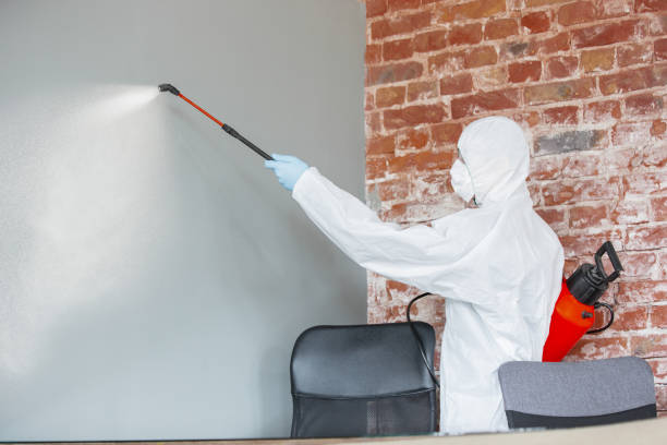 Best Mold Odor Removal Services  in Pagedale, MO