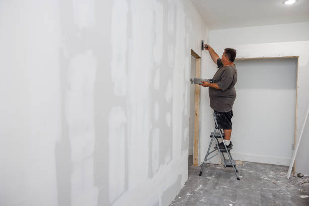 Best Asbestos and Lead Testing During Mold Inspection  in Pagedale, MO