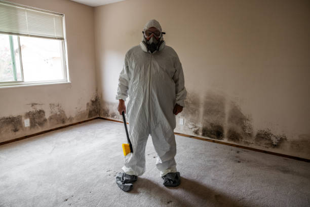 Best Post-Construction Mold Inspection  in Pagedale, MO