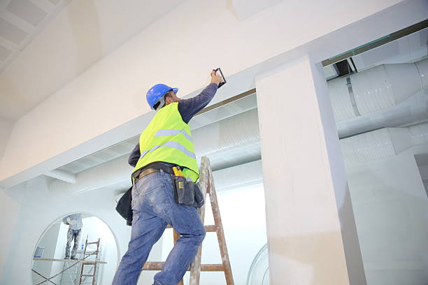 Reliable Pagedale, MO Mold Removal Solutions